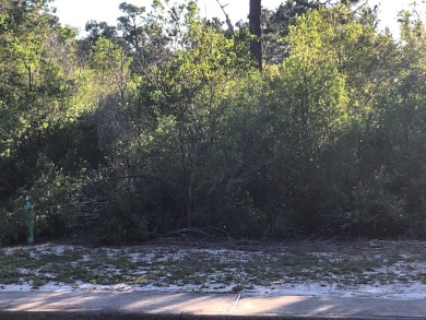 Beach Lot Off Market in Carabelle, Florida