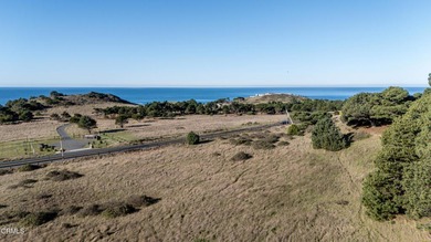 Beach Acreage For Sale in Albion, California