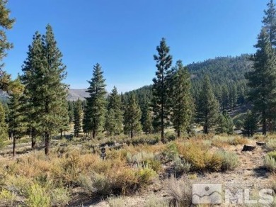 Beach Lot For Sale in Carson City, Nevada