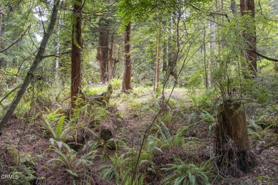Beach Lot For Sale in Fort Bragg, California