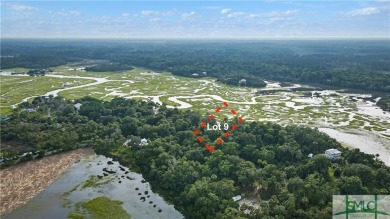 Beach Lot For Sale in Darien, Georgia