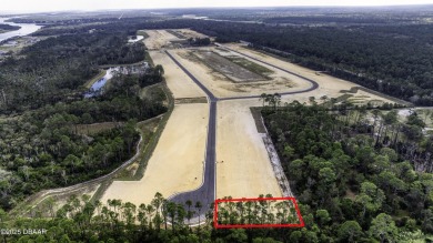 Beach Lot For Sale in Flagler Beach, Florida