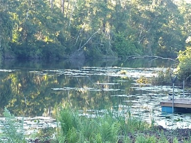 Beach Lot For Sale in Land O Lakes, Florida