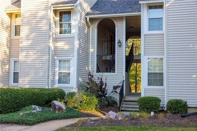 Beach Condo For Sale in Virginia Beach, Virginia