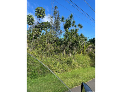 Beach Acreage For Sale in Pahoa, Hawaii