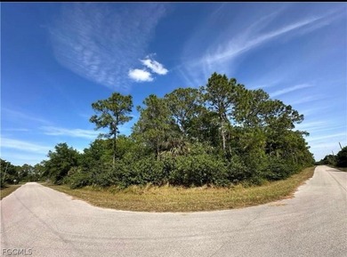 Beach Lot For Sale in Lehigh Acres, Florida