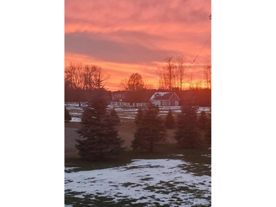 Beach Acreage For Sale in Lexington, Michigan