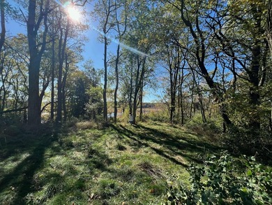 Beach Acreage Sale Pending in Pentwater, Michigan
