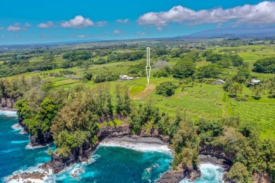 Beach Acreage For Sale in Pepeekeo, Hawaii