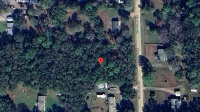 Beach Lot For Sale in Bunnell, Florida