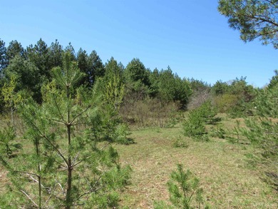 Beach Acreage For Sale in Mohawk, Michigan