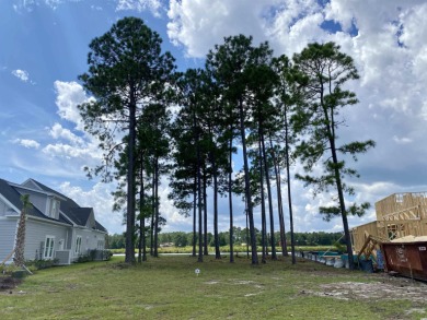 Beach Lot Off Market in Myrtle Beach, South Carolina