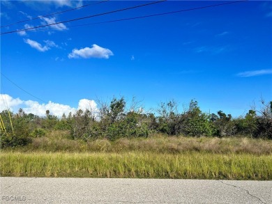 Beach Lot For Sale in Port Charlotte, Florida
