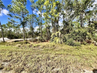 Beach Lot For Sale in Punta Gorda, Florida