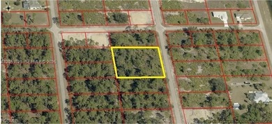 Beach Lot For Sale in Lehigh Acres, Florida