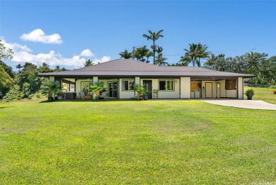 Beach Home Active Under Contract in Papaikou, Hawaii