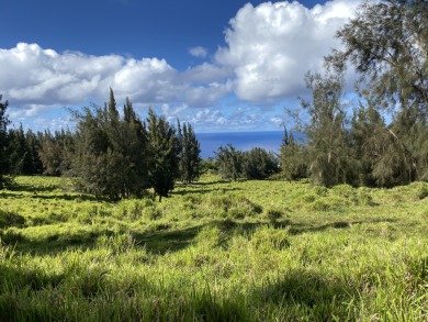 Beach Acreage For Sale in Honokaa, Hawaii