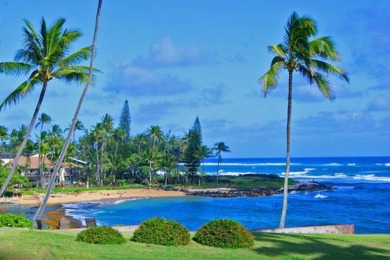 Beach Lot For Sale in Kapaa, Hawaii