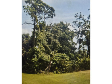 Beach Lot For Sale in Port Charlotte, Florida