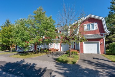 Beach Condo For Sale in Mont-Tremblant, 