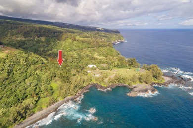 Beach Acreage For Sale in Laupahoehoe, Hawaii