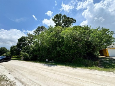 Beach Lot For Sale in Vero Beach, Florida