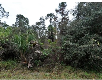 Beach Lot For Sale in North Port, Florida