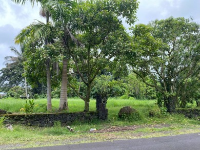 Beach Lot For Sale in Hilo, Hawaii