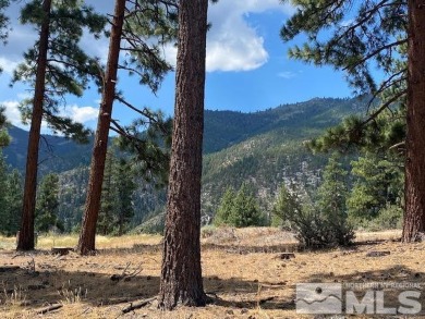 Beach Lot Off Market in Carson City, Nevada