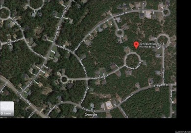 Beach Lot Off Market in Homosassa, Florida