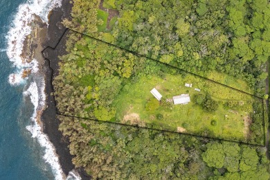 Beach Home For Sale in Pahoa, Hawaii