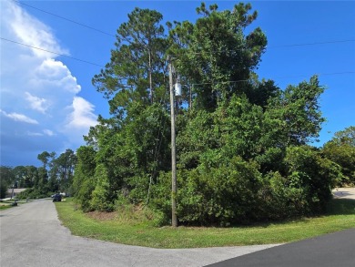 Beach Lot For Sale in Palm Coast, Florida