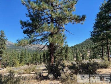 Beach Lot For Sale in Carson City, Nevada