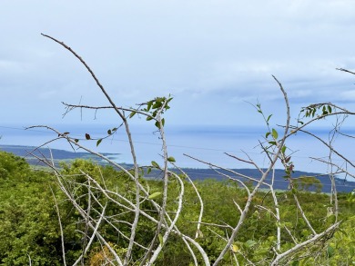 Beach Acreage Active Under Contract in Captain Cook, Hawaii