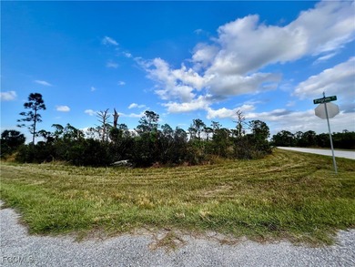 Beach Lot For Sale in Port Charlotte, Florida