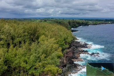 Beach Acreage For Sale in Pahoa, Hawaii