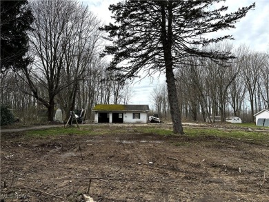Beach Acreage For Sale in Geneva, Ohio