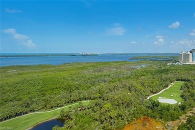 Beach Condo For Sale in Estero, Florida