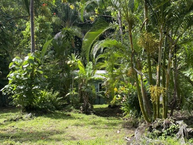 Beach Home For Sale in Pahoa, Hawaii