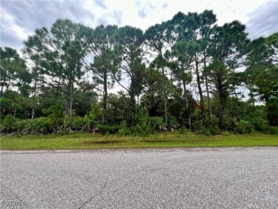 Beach Lot For Sale in Port Charlotte, Florida