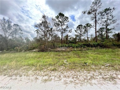 Beach Lot For Sale in Punta Gorda, Florida
