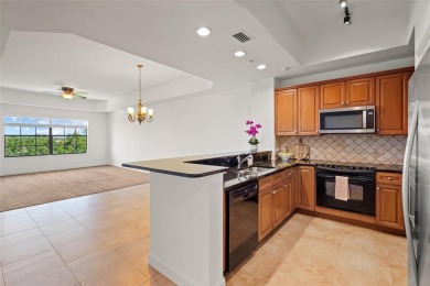 Beach Condo For Sale in Lakewood Ranch, Florida