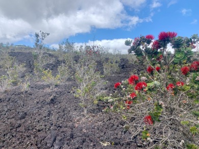 Beach Lot For Sale in Ocean View, Hawaii