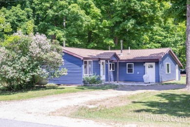If you've been looking for an affordable Rural Home, with - Beach Home for sale in Manistique, Michigan on Beachhouse.com