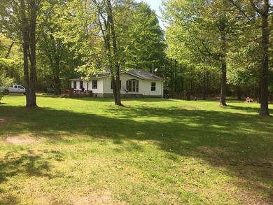 Beach Home For Sale in Free Soil, Michigan