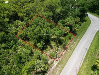 Beach Lot For Sale in Port Charlotte, Florida