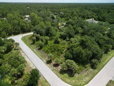 Beach Lot For Sale in Port Charlotte, Florida
