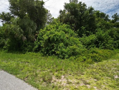Beach Lot For Sale in Port Charlotte, Florida