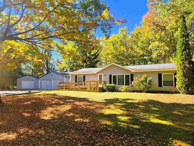 Beach Home For Sale in Alanson, Michigan