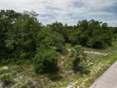 Beach Lot For Sale in Port Charlotte, Florida